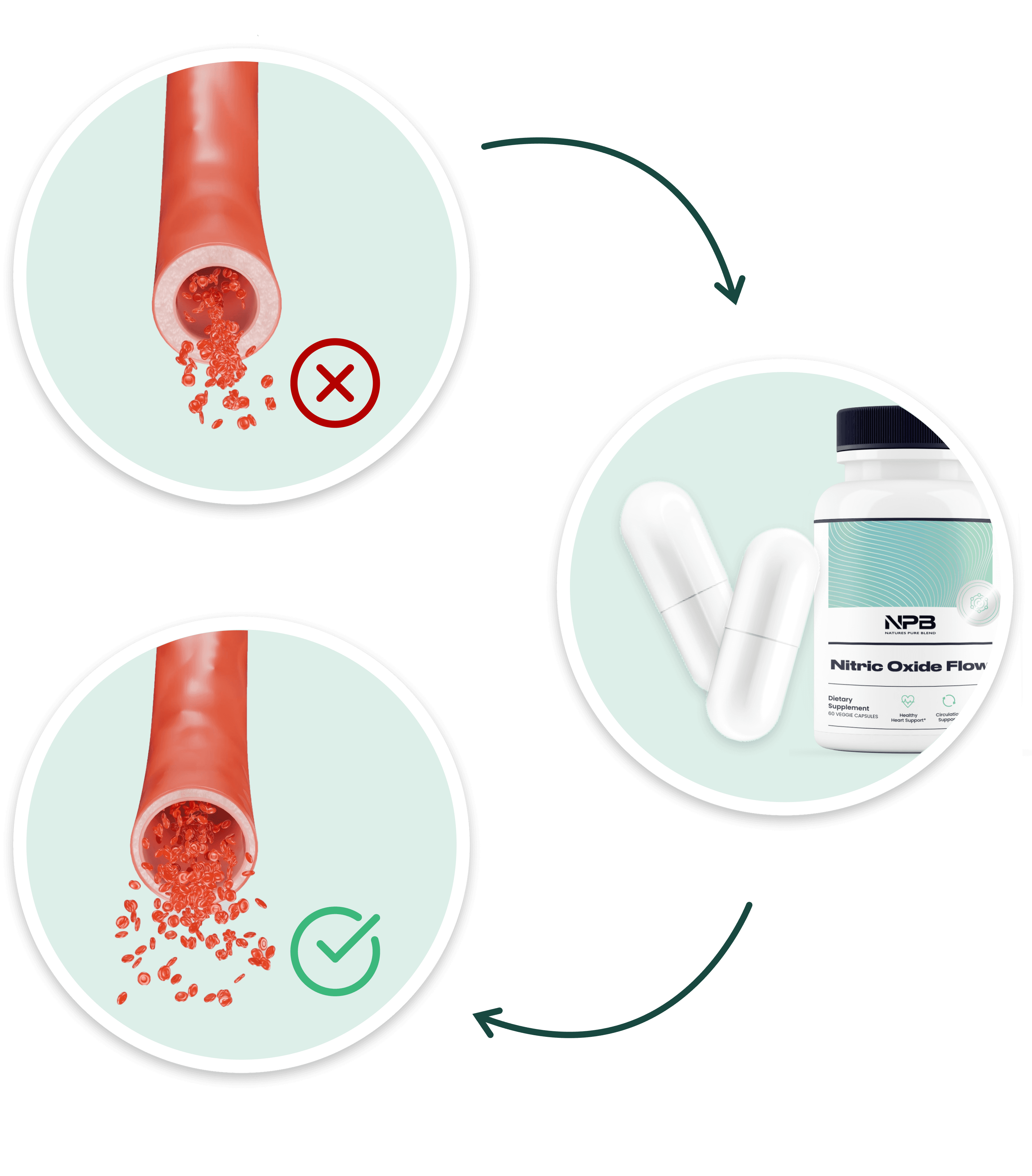 nitric oxide flow working